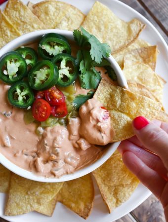Vegan queso dip with hand dipping a chip in.